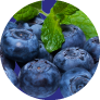 Northern Bluberries